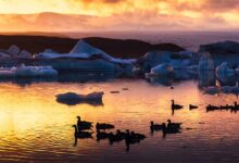 دریاچه جوکولسارلون یک شاهکار طبیعی در ایسلند