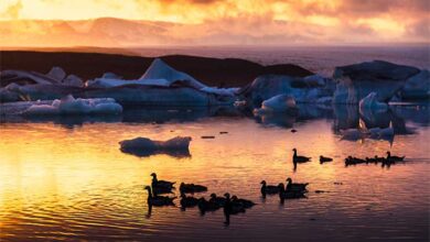 دریاچه جوکولسارلون یک شاهکار طبیعی در ایسلند